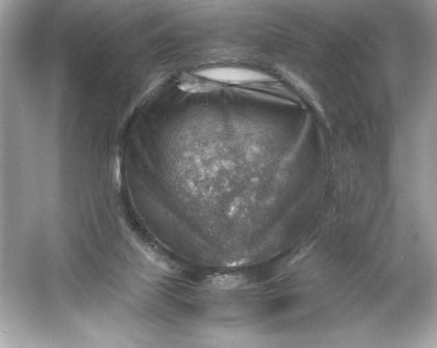 X0000066020067200603171542