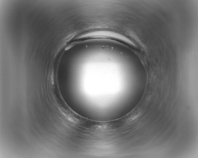 X0000066020068200603171542