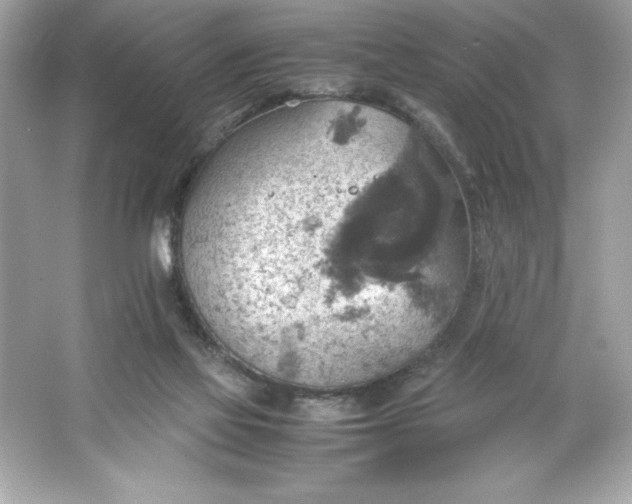 X0000066020069200603171542