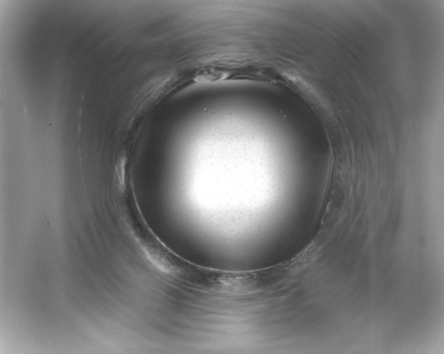 X0000066020070200603171543