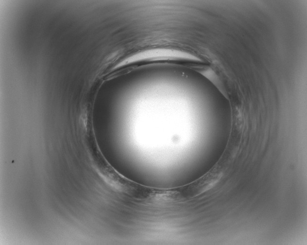 X0000066020072200603171543