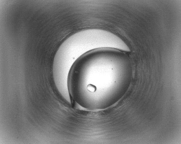 X0000066020076200603171543