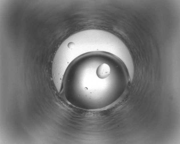 X0000066020077200603171543