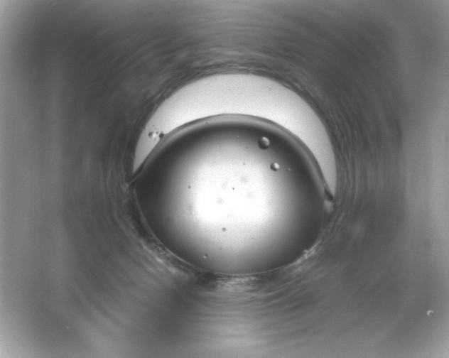 X0000066020078200603171543