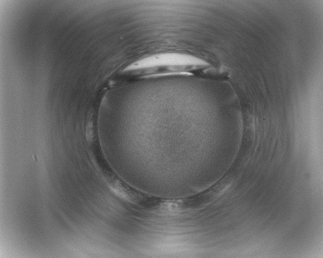 X0000066020080200603171543