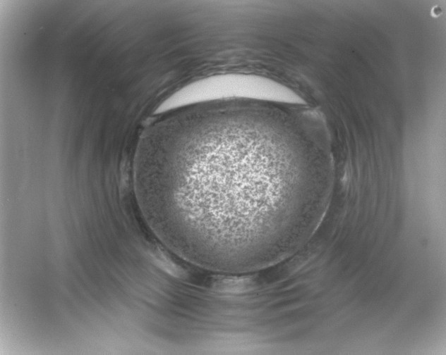 X0000066020081200603171543