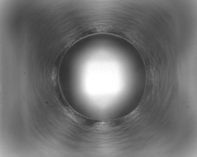 X0000066020082200603171543