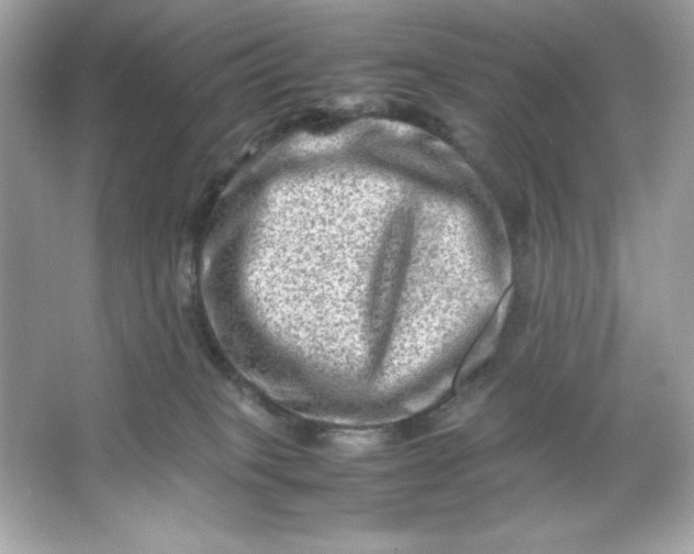 X0000066020085200603171543