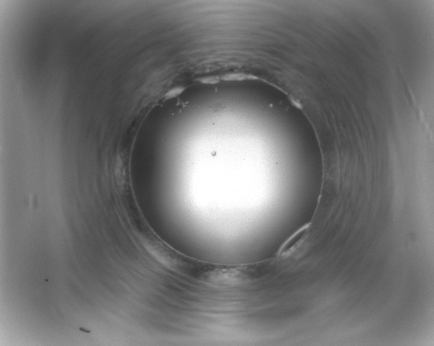 X0000066020086200603171543