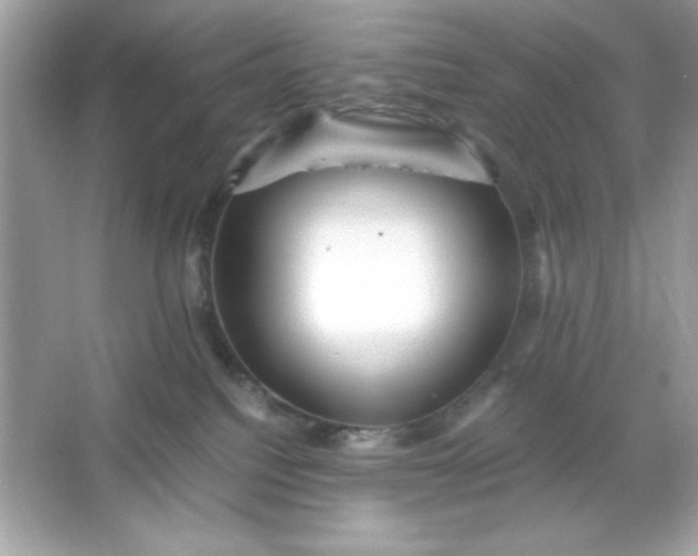 X0000066020088200603171543