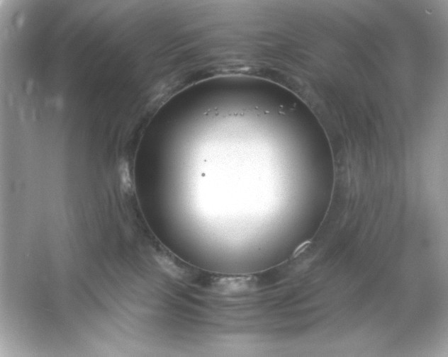 X0000066020089200603171543