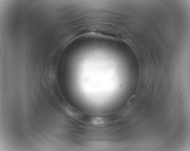 X0000066020091200603171543