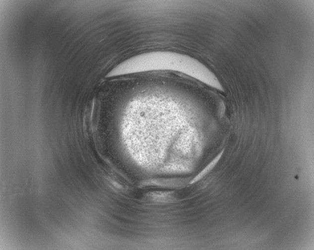 X0000066020093200603171543