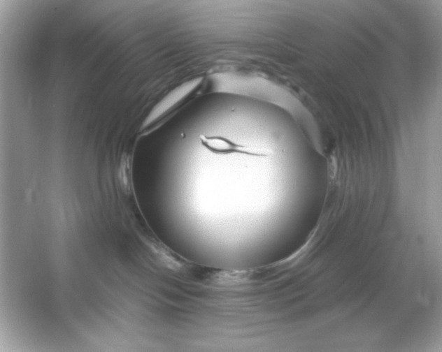 X0000066020094200603171543