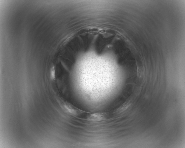 X0000066020095200603171543