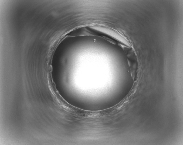 X0000066020097200603171542