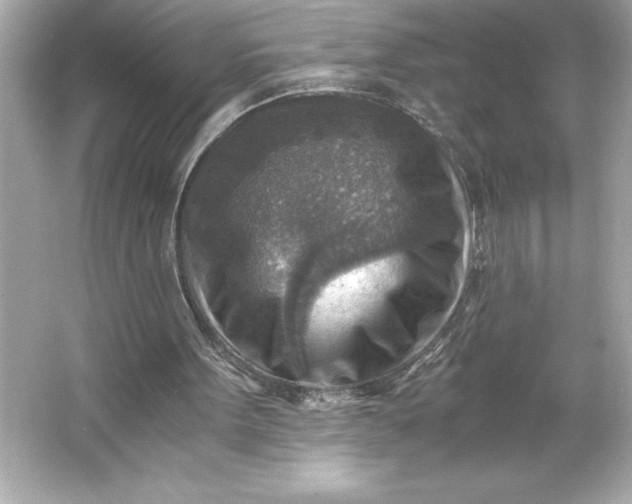 X0000066020099200603171542