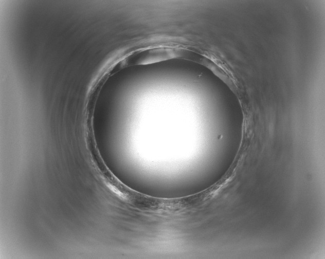 X0000066020101200603171542