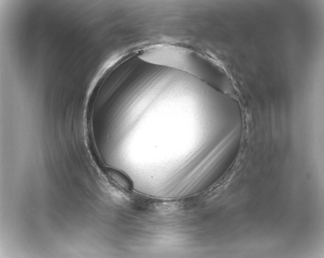 X0000066020102200603171542