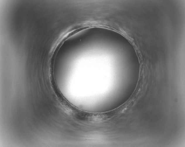 X0000066020103200603171542