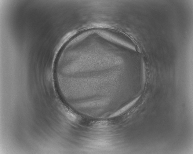 X0000066020104200603171542