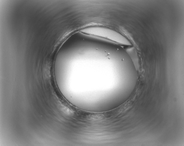 X0000066020106200603171542