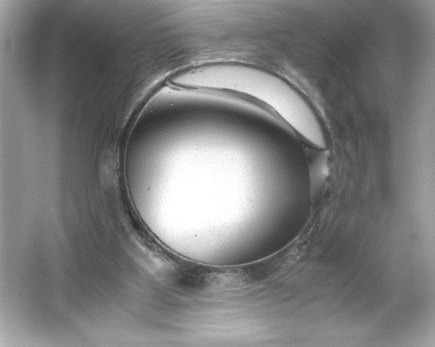 X0000066020107200603171542