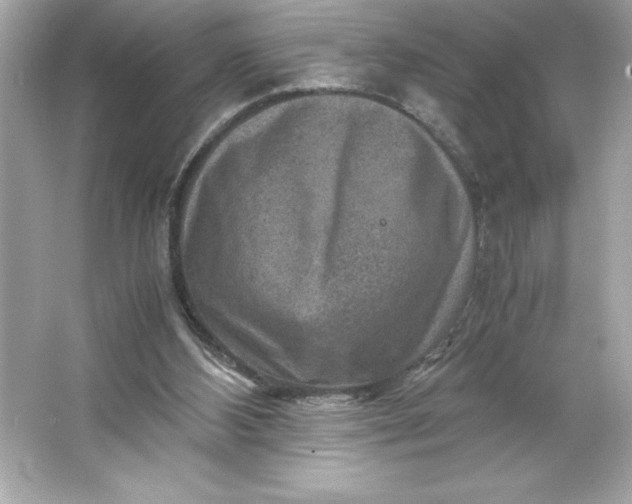 X0000066020108200603171542