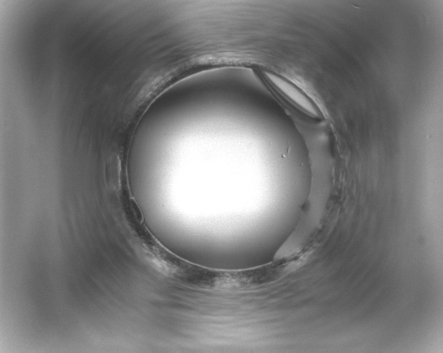 X0000066020109200603171542