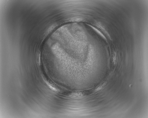 X0000066020110200603171542