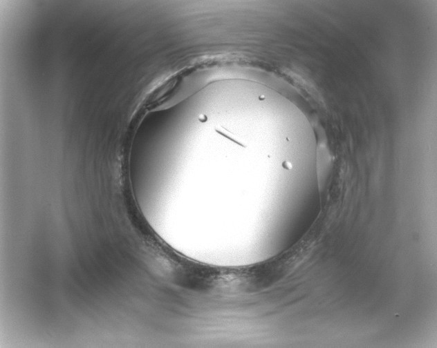 X0000066020111200603171542