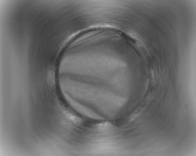 X0000066020112200603171542