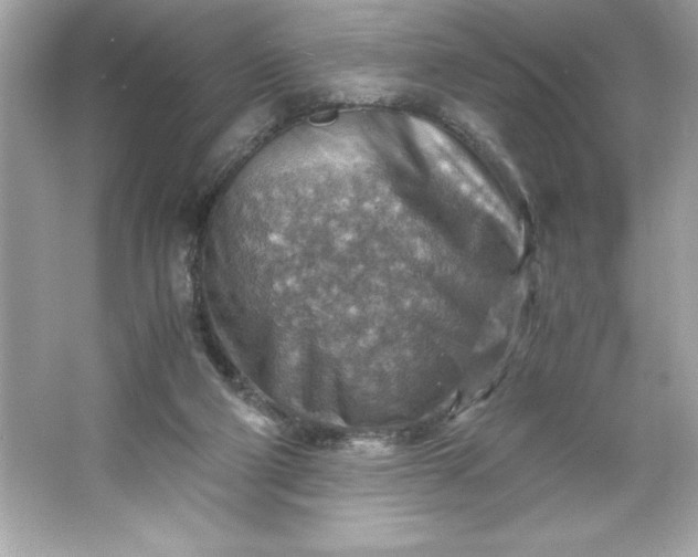 X0000066020114200603171542