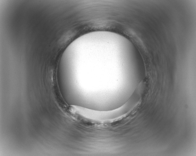 X0000066020115200603171542