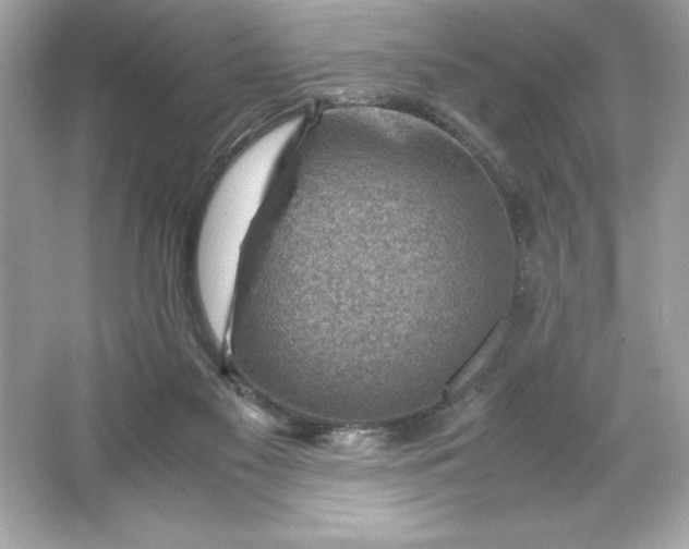 X0000066020117200603171542