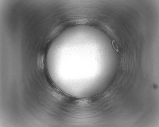 X0000066020118200603171542