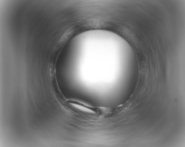 X0000066020119200603171542