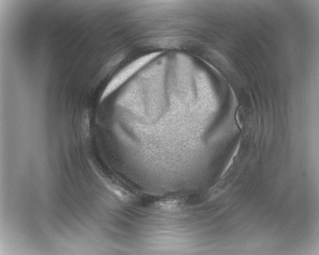 X0000066020120200603171542