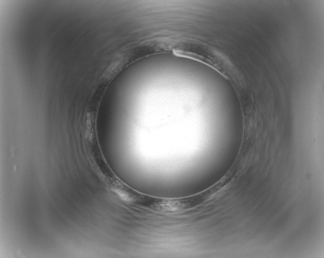 X0000066020121200603171542