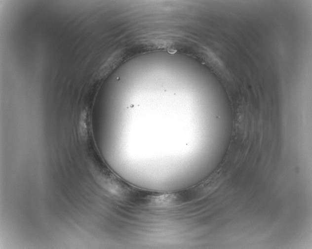 X0000066020122200603171542