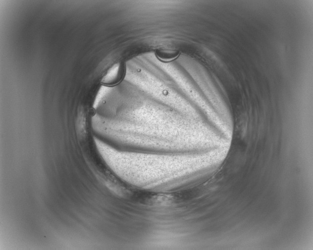 X0000066020124200603171542