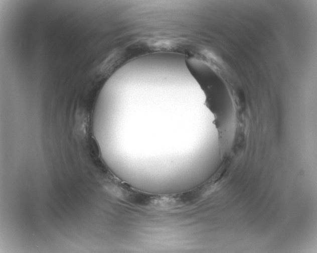 X0000066020125200603171542