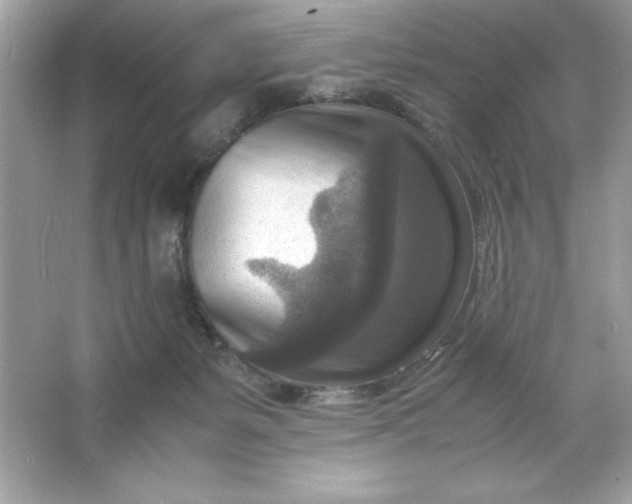 X0000066020127200603171542