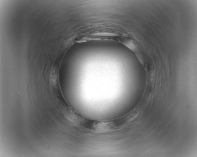 X0000066020129200603171542