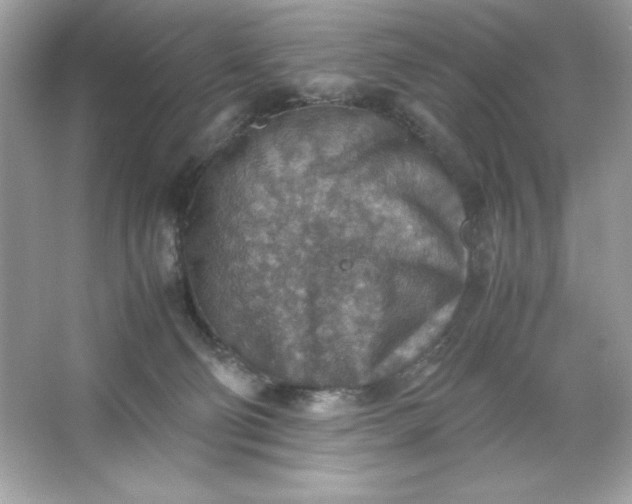 X0000066020130200603171542