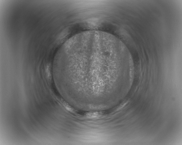 X0000066020131200603171542