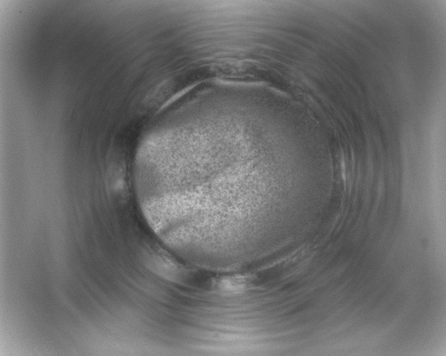 X0000066020134200603171541