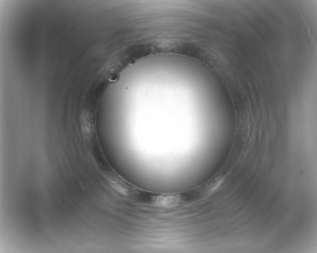 X0000066020135200603171541