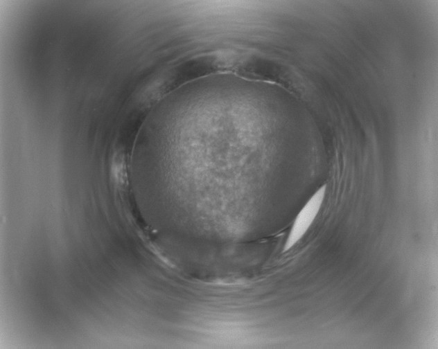 X0000066020137200603171541