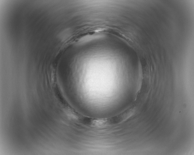 X0000066020139200603171541